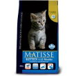 matisse cat kitten 1-12 mesi 1,5kg minsan 971281858