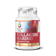 colours life collagene 60cps