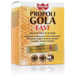 winter propoli gola fast bustine 150 ml polvere per soluzione orale