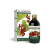 salsapariglia estr integ 200ml