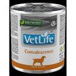 vet life dog convalescence300g