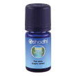 palo santo olio essenziale 5ml