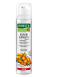 rausch hairspr strong aerosol