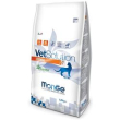 monge cat diet renal 400gr