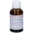 ficus carica gemme macerato glicerico 30 ml soluzione orale
