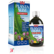 winter planta slim depuraty 500 ml