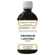 viburno liq analcolico 500ml