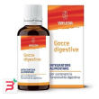 gocce digestive 50 ml