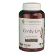 cordy up 90maxi cps