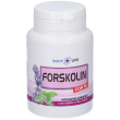 bodyline forskolin forte 29,7 g capsule