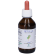 promopharma betulla soluzione idroalcolica gocce 100 ml orali
