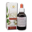 aramis gtt 50ml