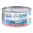siland nucrointestinal cane patè salmerino islandese e riso 310 grammi