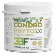 condrophyto polvere 300g