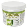 condrophyto polvere barattolo 300 g g