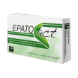 epatoact 36 capsule 500mg