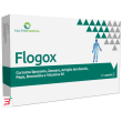 flogox 30 capsule