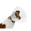 collare elisabetta clic trasparente 7,5 cm (buster clic collar 7.5 cm)