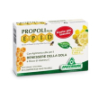 specchiasol epid compresse limone e miele integratore gola 20 compresse masticabili