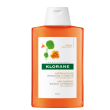 klorane cappuccina shampoo antiforfora purificante 200 ml