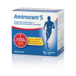 aminoram s 24 bustine gusto limone