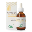 propolinea soluzione idroglicerica gocce 50 ml