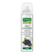 rausch dry shampooo fresh 150 ml shampoo
