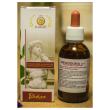 menodora gtt 50ml