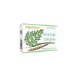 moringa oleifera 24cps