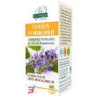 coleus forskohlii estratto titolato 60 pastiglie