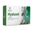 hyalusol 10 flaconcini 8ml