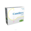 candirex forte 20 bustine