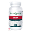 bacopa 60 capsule