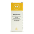 ampelopsis mg 50ml