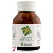 boswellia 60 capsule