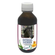 intima horse 100 ml  ( ex equifertil) minsan 974369795