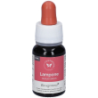 basegemmo lampone 30 ml ml soluzione orale