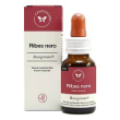 ribes nero basegemmo 30ml