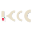 brava cerotto elastico idrocolloide xl per stomia 20 pezzi