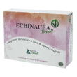echinacea benoit 60cpr