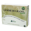 alchemia benoit germe di grano compresse 60 pz