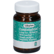 lifeplan® candidophilus® 18 g capsule