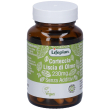 lifeplan® corteccia liscia di olmo 14,5 g capsule
