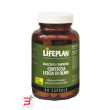 corteccia liscia di olmo 50 capsule