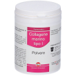 collagene marino polvere 60 g g per soluzione orale