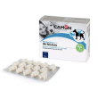immodula 60cpr