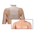 cliaortho raddrizzaspalle s