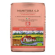 farina manitoba 1kg