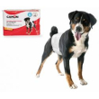 cam pannolini fascia per cani maschi mis 3 monouso b040/3 minsan 9748...