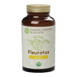 pleurotus linea plus 90cpr